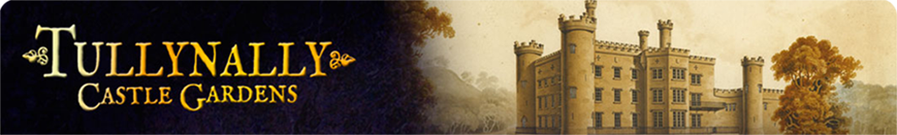 Tullynally Castle Logo