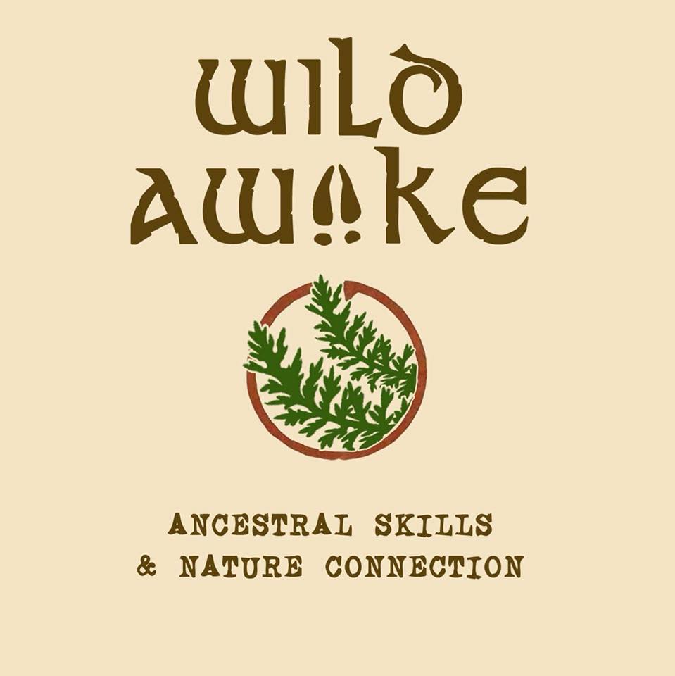 Wild Awake Logo