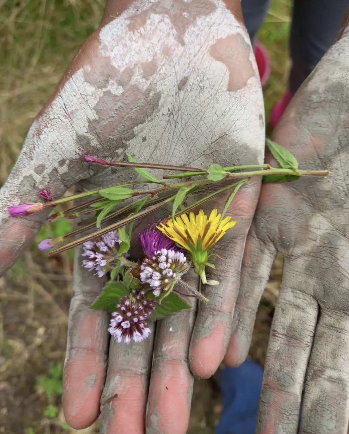 Wild Kids Forest School Logo