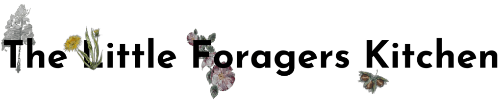 The Little Foragers Kitchen Logo